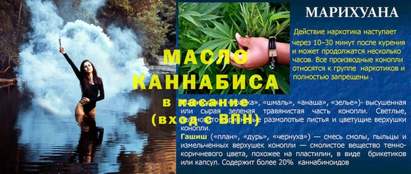 прущие грибы Абаза