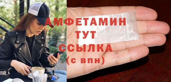 прущие грибы Абаза